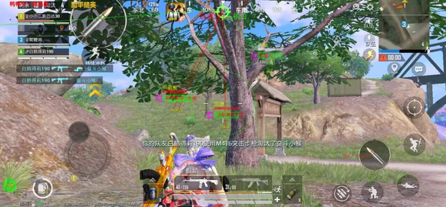 GGB原猪猪侠漏打追踪内部