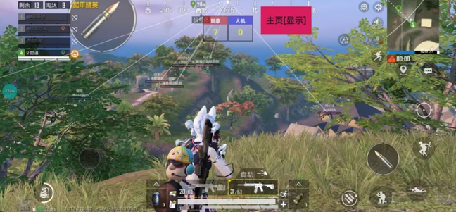 和平精英【邪剑仙漏打掩体变色》辅助